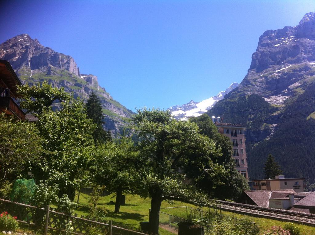 "Studio Edelweiss" Spillstatthus Grindelwald Bagian luar foto